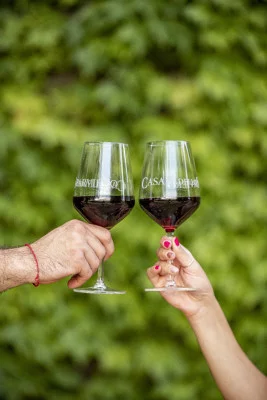 Thumbnail L'essenza della tenuta: visita e degustazione al Casale dello Sparviero nel Chianti Classico