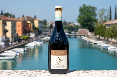 Thumbnail Lugana Wine Tasting & Local Platter and Tour at Le Morette in Peschiera del Garda