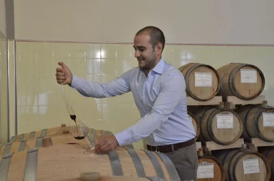 Thumbnail Tour guidato della cantina e degustazione presso Terre di Perseto nel Chianti Classico