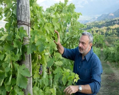 Thumbnail Di Meo Weinprobe Erlebnis