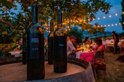 Thumbnail Calici di Luna - Dégustation de vin au coucher du soleil chez Asotom Vini au cœur du Monferrato