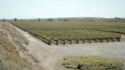 Thumbnail Taste the wines born from the stones at Bodega Lagravera