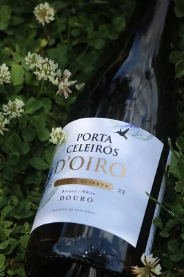 Thumbnail White Essence: A Journey Through Douro’s White Wines at Quinta do Beijo