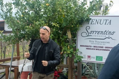Thumbnail "Ernten Sie mit uns!" Private Weinlese und Weinprobe in Neapel