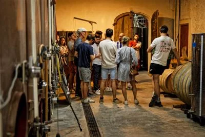 Thumbnail Dégustation de vins au cœur des appellations de la vallée du Rhône méridionale au Vignoble Simian