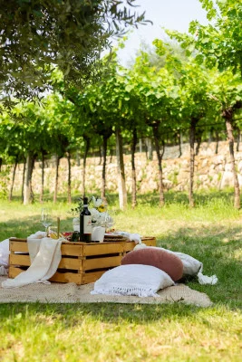 Thumbnail Picnic tra i vigneti con vista sul Valpolicella a Palazzo Montanari