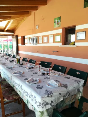 Thumbnail Wine Tasting Among the Vineyards of Agricola La Piana in Castelvetro di Modena