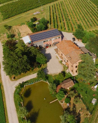 Thumbnail Wine Tasting Among the Vineyards of Agricola La Piana in Castelvetro di Modena