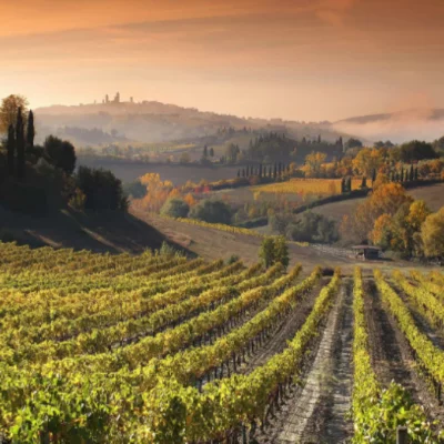 Thumbnail Wine and Cuisine: 4-Course Lunch with Wine Tasting at Mormoraia in San Gimignano