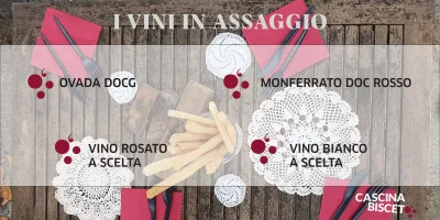 Thumbnail Vineyard and Winery Tour with Tasting at Cascina Bisceto in Monferrato