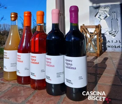 Thumbnail Visita a viñedos y bodegas con degustación en Cascina Bisceto en Monferrato