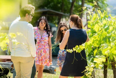 Thumbnail Classic Wine Tasting Experience at Chiorri Winery