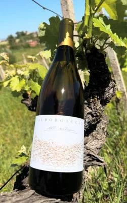 Thumbnail Dégustation de vin et visite du vignoble à la Cantina Mancini à Marciano della Chiana