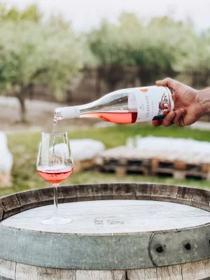 Thumbnail Expérience immersive du patrimoine et du vin - Exploration de l'art, de la culture et du terroir à Sacco Vignaioli Apuli