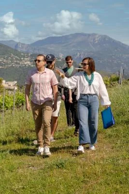 Thumbnail Vineyard Tour with Wine Tasting within Nice City Borders