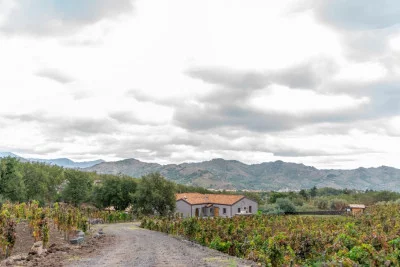 Thumbnail I Territoriali: Etna Wine Experience at Generazione Alessandro