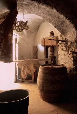 Thumbnail Entre l'huile et le vin : Un vignoble au bord de la mer avec dégustation à la cave de Saglietto