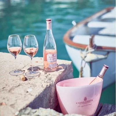 Thumbnail Degustazione di vino guidata dall'enologo e visita a Costaripa a Moniga del Garda