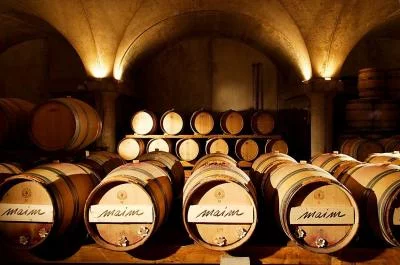 Thumbnail Von einem Önologen geleitete Weinprobe und Führung bei Costaripa in Moniga del Garda