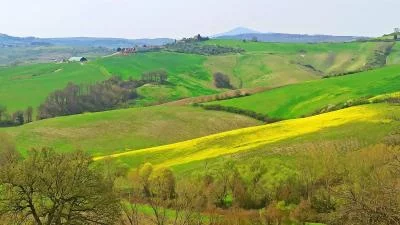 Thumbnail Tour Privado Saborea Vinos Exquisitos - Tour del Vino Brunello y Nobile