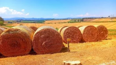 Thumbnail Private tour Savor Exquisite Wines – Brunello & Nobile Wine Tour