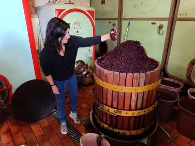 Thumbnail Excursion privée Volterra & San Gimignano + dégustations de vins (au départ du port de Livourne)