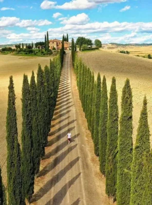 Thumbnail Merveilleuse excursion viticole au départ de Florence : Sienne, San Gimignano et la région viticole du Chianti