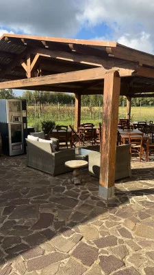 Thumbnail Dégustations de vin, déjeuner ou dîner à la Villa Pedrosu près d'Alghero