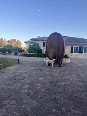 Thumbnail Dégustations de vin, déjeuner ou dîner à la Villa Pedrosu près d'Alghero