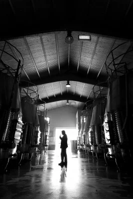 Thumbnail Pasion por el Vino: Degustazione di vini nel deserto presso Bodegas Perfer ad Almeria
