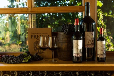 Thumbnail Cata de vinos con vistas a viñedos y visita a una bodega histórica cerca de Turín