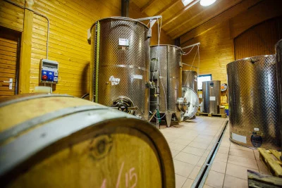 Thumbnail Dégustation de vin avec vue sur les vignobles et visite d'une cave historique près de Turin