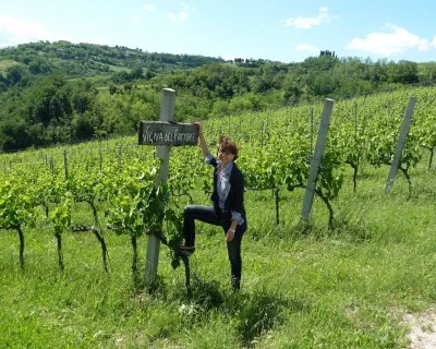 Thumbnail Wine experience en la Bodega Ecológica Maria Galassi de Bertinoro, Emilia-Romaña