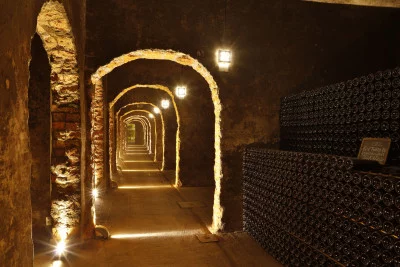 Thumbnail Visita y cata de vinos espumosos en las Cuevas Messias de Bairrada