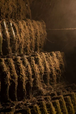 Thumbnail The Sparkling Wine Tour and Tasting at Caves Messias in Bairrada
