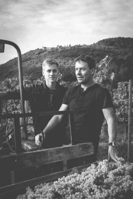 Thumbnail Vineyard Walk and Wine Tasting around Leinsweiler at Weingut Gunter Stübinger