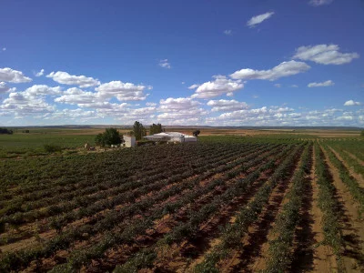 Thumbnail Wine & Local Gastronomy Tasting at EcoBodega La Morenilla