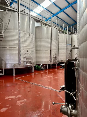 Thumbnail Wine & Local Gastronomy Tasting at EcoBodega La Morenilla