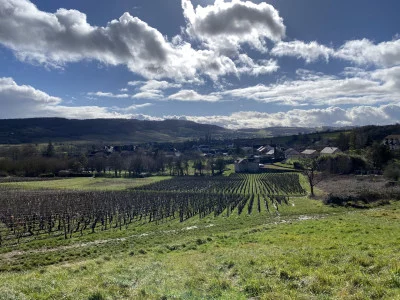 Thumbnail Eintauchen ins Burgund - Eine Reise vom Weinberg zum Glas in Saint-Jean-de-Vaux