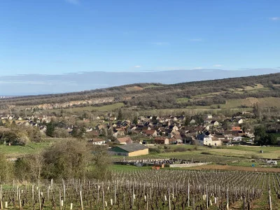 Thumbnail Burgundy Immersion – A Vineyard-to-Glass Journey in Saint-Jean-de-Vaux
