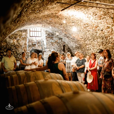 Thumbnail Weinprobe mit Verkostung von im Fass gereiftem Wein und Weingutbesichtigung bei Corte Fornello in Valeggio sul Mincio