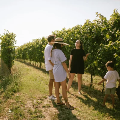 Thumbnail Degustazione di vini affinati in botte e visita alla cantina Corte Fornello a Valeggio sul Mincio