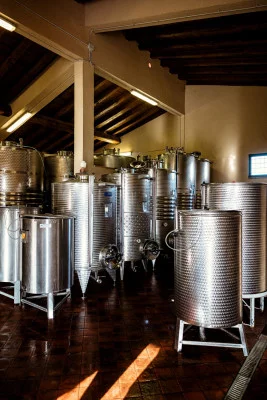 Thumbnail Weinberg, Keller und Verkostung im Herzen Umbriens in der Cantina Sandonna