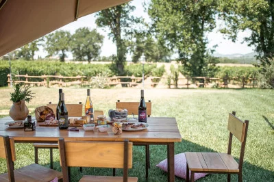 Thumbnail Esperienza di vigneto, cantina e degustazione nel cuore dell'Umbria presso Cantina Sandonna