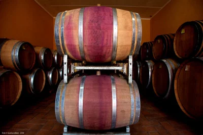 Thumbnail Expérience de vignoble, de cave et de dégustation au cœur de l'Ombrie à la Cantina Sandonna
