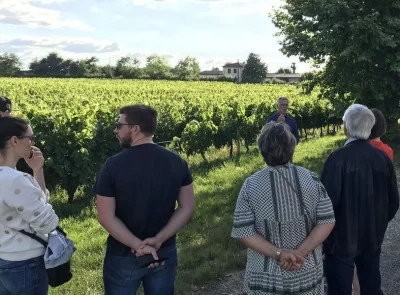 Thumbnail Esplora un vigneto biologico a conduzione familiare con degustazione di vini al Vignoble Pestoury