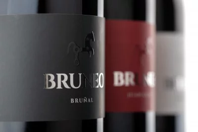 Thumbnail Visita a la Bodega Histórica de Fermoselle con cata de vinos