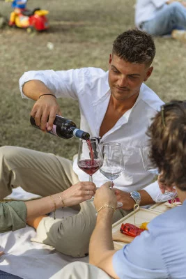 Thumbnail Picknick mit regionalen Speisen und Weinen in der Villa Meneghello in Lazise