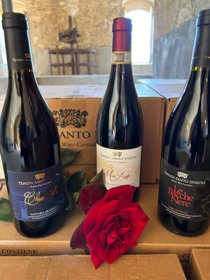 Thumbnail Dégustation du "Palmento" à Tenuta Santo Spirito avec des vins biologiques
