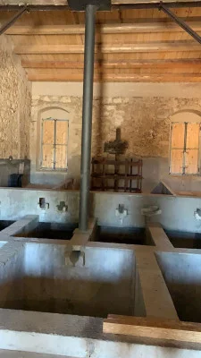 Thumbnail Degustazione "Il Palmento" alla Tenuta Santo Spirito con vini biologici